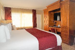 Room #5643313 image 2