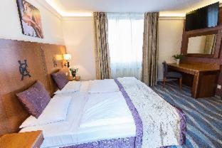 Carlton Hotel Buda Castle, Budapešť (fotografie 8)