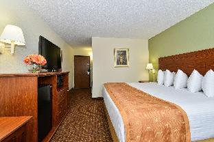 Room #31142511