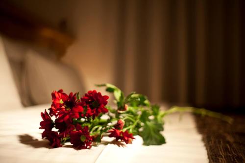 Dahlia Inn - image 6