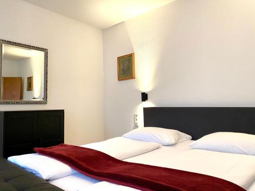 Economy Apartment - 3 rooms No Rhine River View image 8