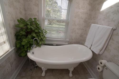 Stafford House Bed & Breakfast – Fairfax, VA