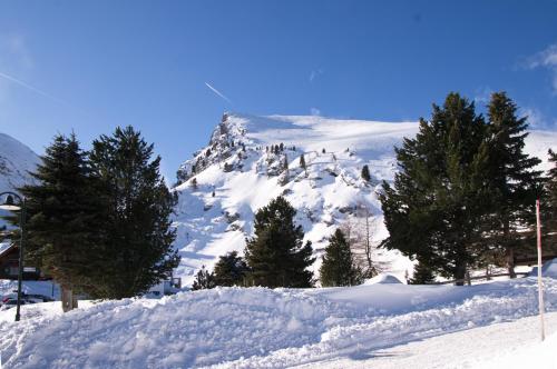 Beim Almöhi - image 6