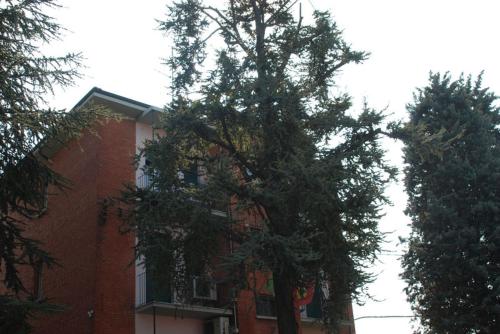 Hotel Tuscolano, Bolonia (foto 10)