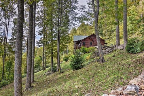 Cabin with BBQ and Games - Walk to Blue Ridge Parkway!