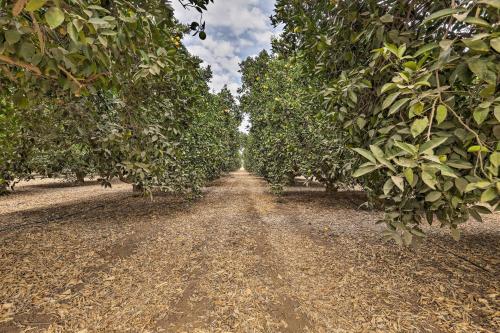 Sierra Nevada Mountain Retreat, Set on Citrus Farm