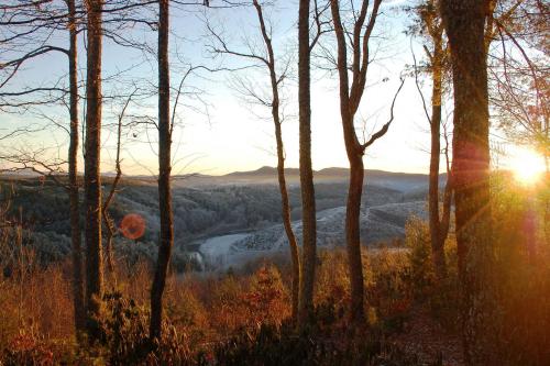 Rustic Courage Cabin with Mountain and River View - image 27