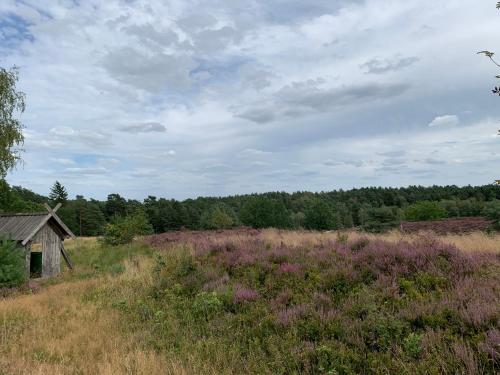 Nordheidehaus - Villa in ฮันชเต็ดท์