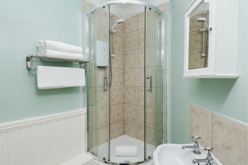Ice Cream Suite - image 7