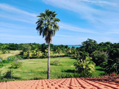 Nabij attractie, Papeth House in Le Francois