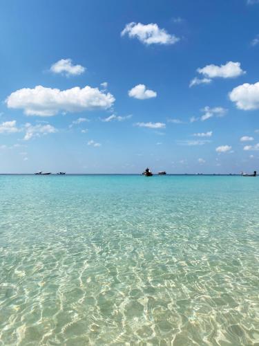 Sports and activities, Indie Hostel - Koh Tao in Ko Tao