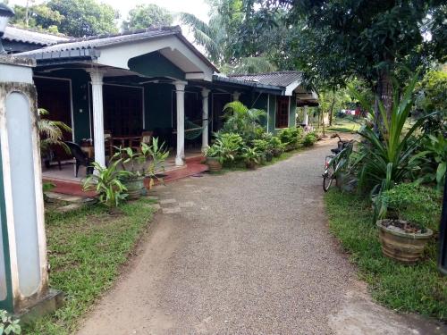 Elephant safari Lodge