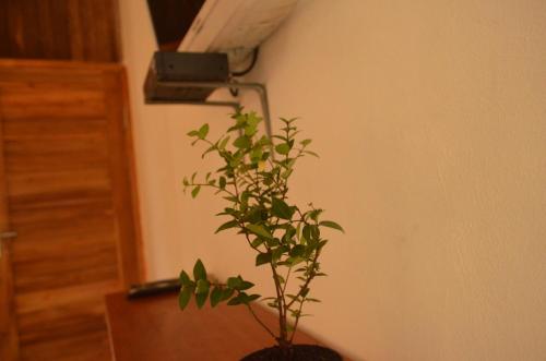 共用Lounge/電視區