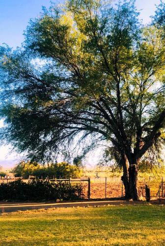 Blye Uitsig, Oudtshoorn (foto 11)
