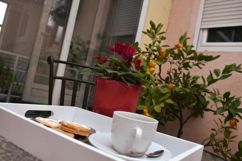 Hotel Fala - image 9