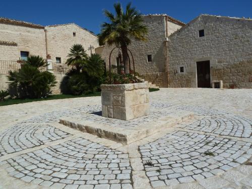 Silva Suri - image 4