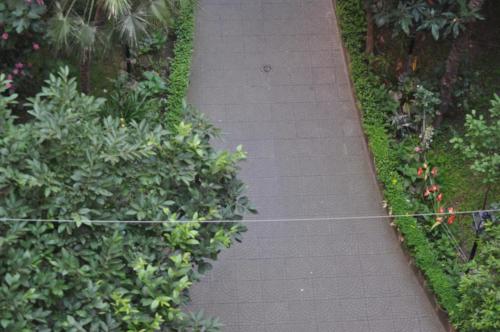 B&B Sergio House – Rome