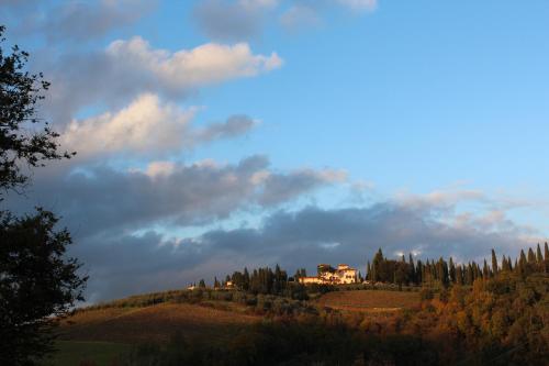  Il Cielo Bio - Il più piccolo B&B del Chianti in Greve in Chianti