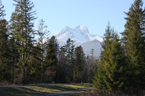 Penzion Koliba - image 3