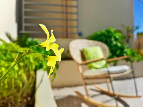  Amazing Room in Central Athens in Athen