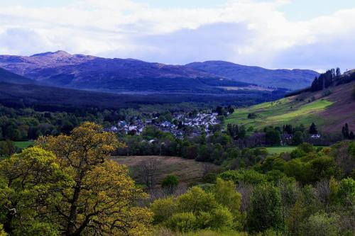 Luxury woodland Alder Lodge