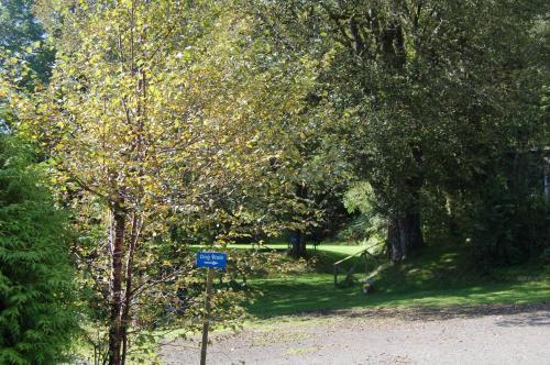 Luxury woodland Alder Lodge