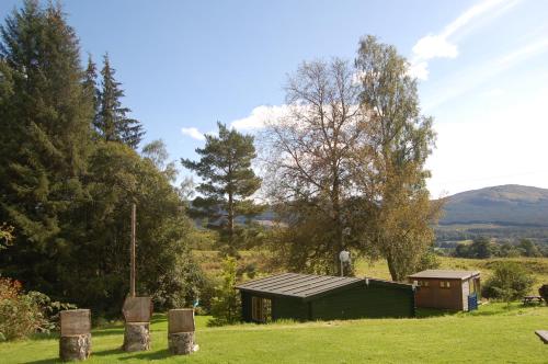 Luxury woodland Alder Lodge