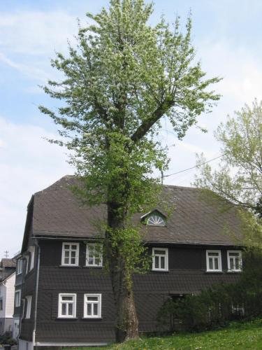 Ferienhaus Mittelstraße in Dādena