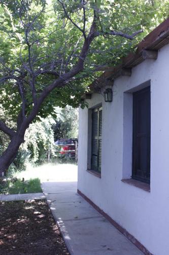 Cabaña en Olivar Centenario Agroecológico Tutuna