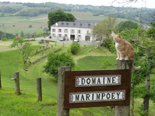 Maison d'hôtes Marimpoey - Accommodation - Monein