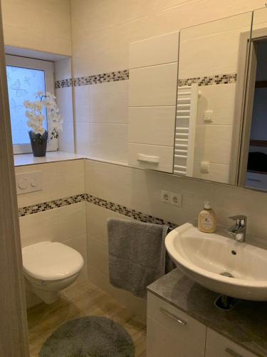 2Raum-Apartment Leznew, Leipzig (photo 9)