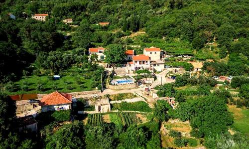 Vila Nikola - image 11