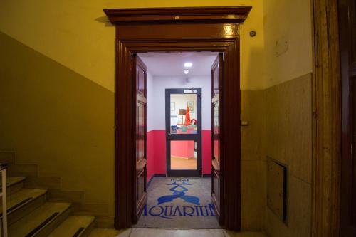 Aquarium Termini - image 12