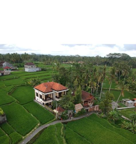 Ubud Sawah Scenery Villa and Homestay