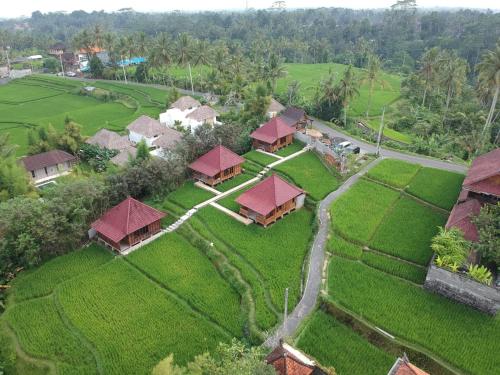 Ubud Sawah Scenery Villa and Homestay