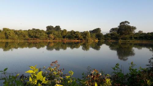 Tusker's Paradise Safari Villa