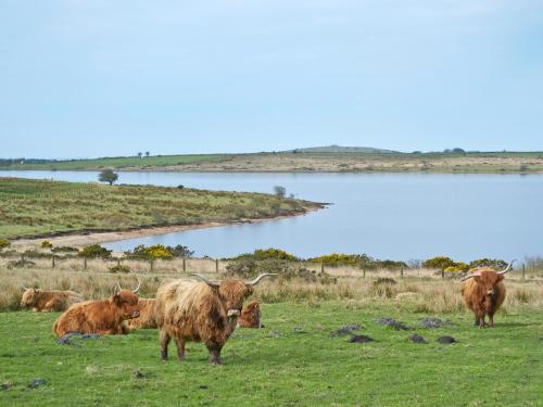 Piggery, , Cornwall