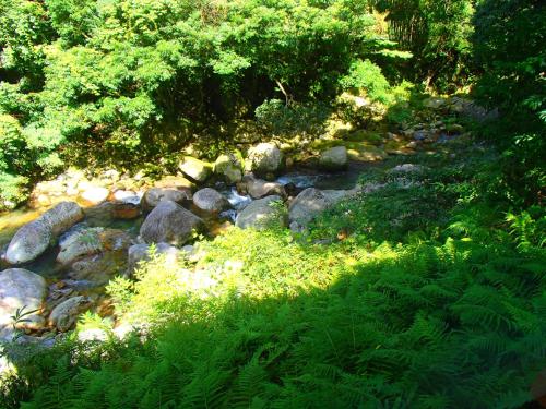 屋久島コテージ対流山荘, Yakushima (Foto 8)