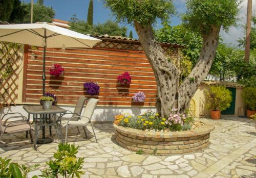 Flowers studios in Corfu