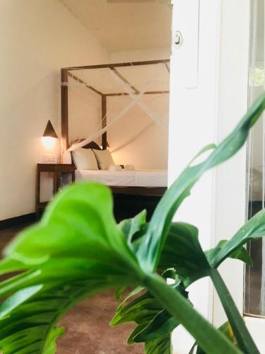 Triple Room with Garden View image 3