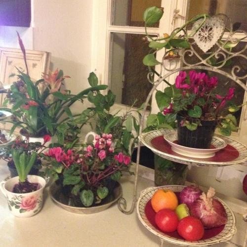 

Il Giardino Segreto