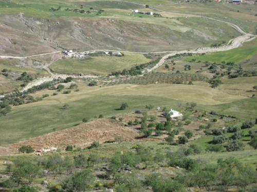 Finca Sábila Finca Sábila