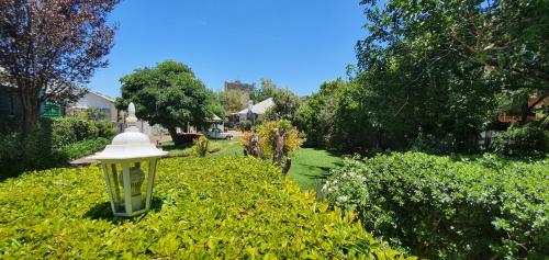 Garden, Acacia Westdene B&B in Bloemfontein