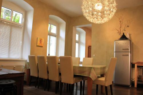 Pappel, Berlin (Foto 4)
