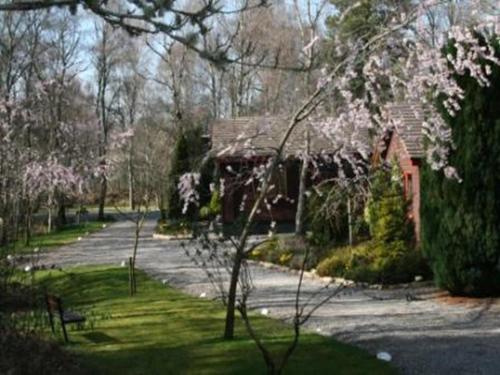 Tullochwood Lodges - image 6