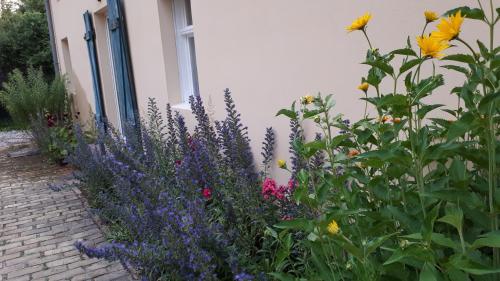 Blumenhaus in Velten, Deutschland