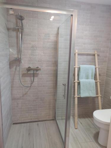 Baño, Apartment in Dunglow