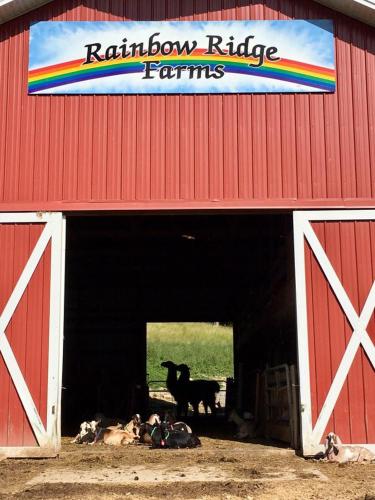 Rainbow Ridge Farms - image 5