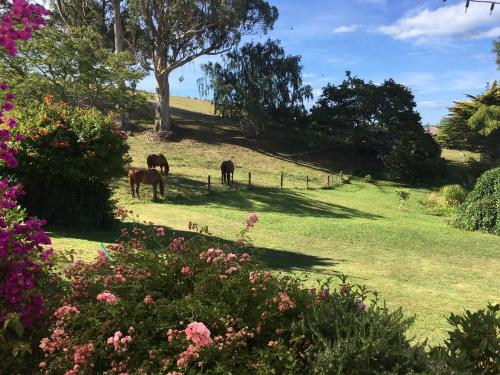 Surrounding environment, Tasman Farmstay Retreat GlenMhor in Tasman