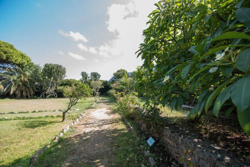 Agriturismo Tenuta Pizzolungo